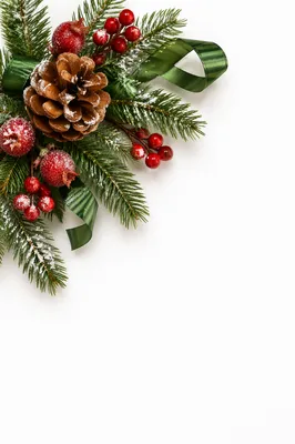 Pine Cone and Holly Winter Arrangement