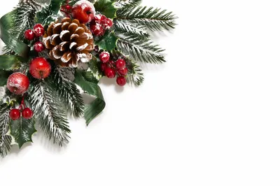 Pine Cone and Holly Winter Arrangement