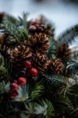 Rustic Pine Cone and Holly Winter Arrangement