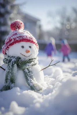 Handmade Snowman in Quiet Winter Backyard