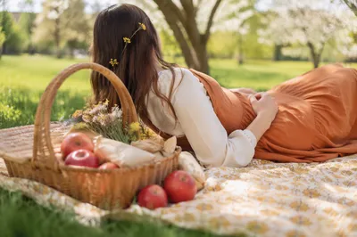Sunny Spring Picnic Blanket in Park