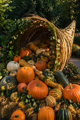 Autumn Cornucopia Overflowing With Harvest Produce