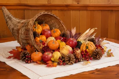 Thanksgiving Cornucopia Harvest Table Still Life