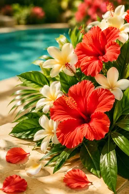 Vibrant Tropical Plumeria and Hibiscus Summer Arrangement