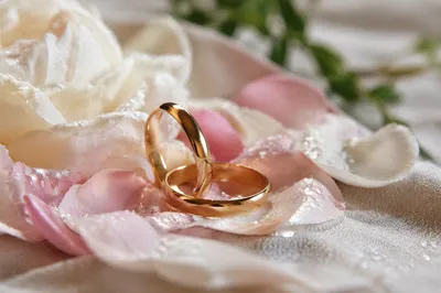 Wedding Rings on Spring Flower Petals
