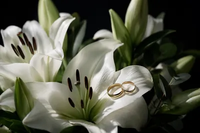 Wedding Rings on White Lily Petals
