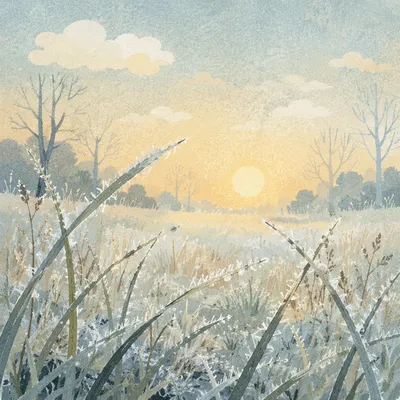 Winter Frost Sparkling on Meadow Grass