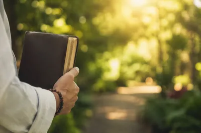 Hand Holding Closed Scripture Book Outdoors