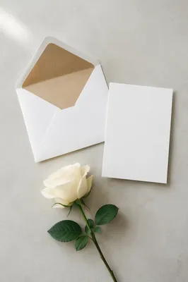 Elegant Blank Card with Envelope and Rose