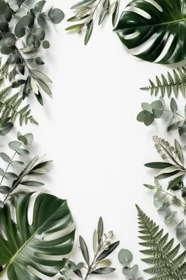 White Background with Botanical Leaf Border