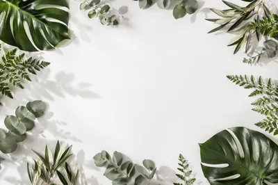 White Background with Botanical Leaf Border