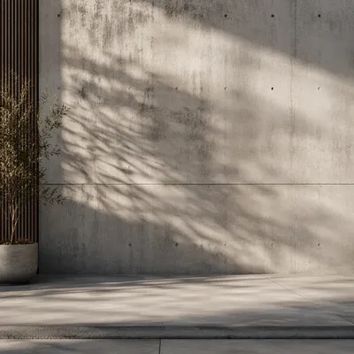 Minimalist Concrete Wall and Cement Floor