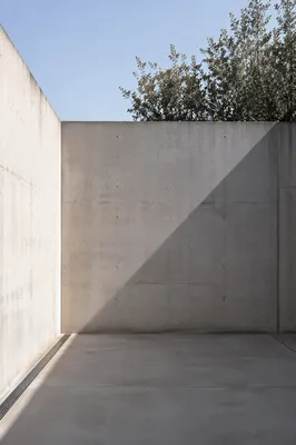 Minimalist Concrete Wall in Urban Courtyard