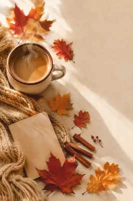 Cozy Autumn Coffee Flat Lay Scene