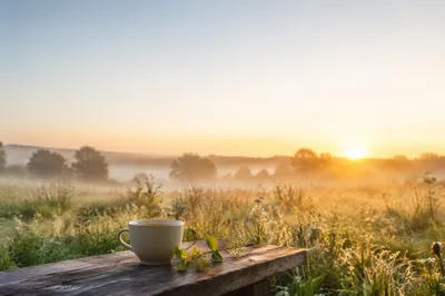 Peaceful Sunrise Meadow Morning Blessing Scene