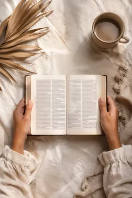 Hands Holding Open Bible Flat Lay