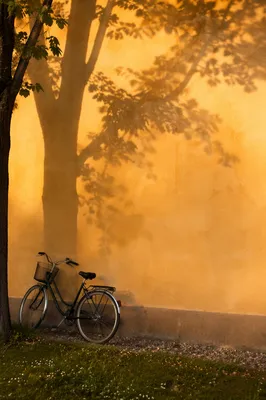 Minimal Wall Shadows with Bicycle
