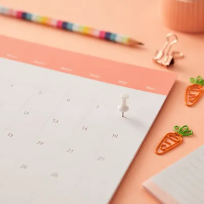 Pastel Coral Calendar With White Push Pin