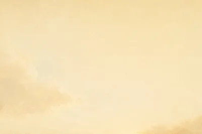Peaceful Sunrise Meadow Phone Wallpaper Background
