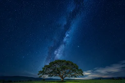 Peaceful Night Meadow Scripture Wallpaper
