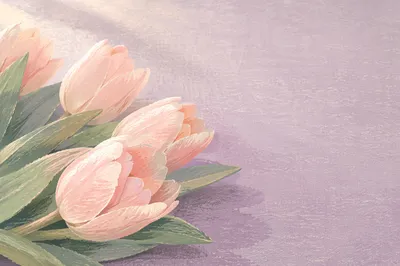 Pastel Spring Tulips Flat Lay Background