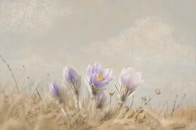 Pastel Spring Wildflowers With Quiet Copy Space