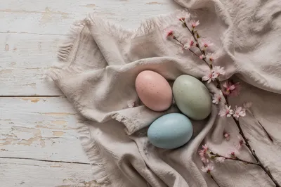 Pastel Spring Flat Lay with Blossoms