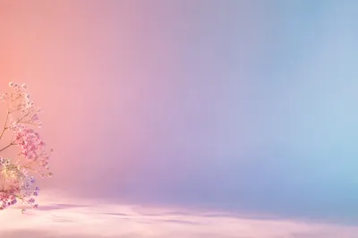 Soft Pastel Gradient Studio Backdrop