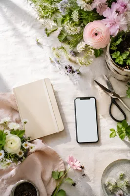 Spring Flowers and Seedlings Flat Lay