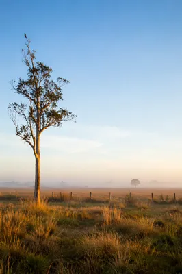 Rural Sunrise Horizon with Spacious Sky