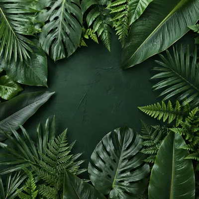 Lush Tropical Leaves Flat Lay Background