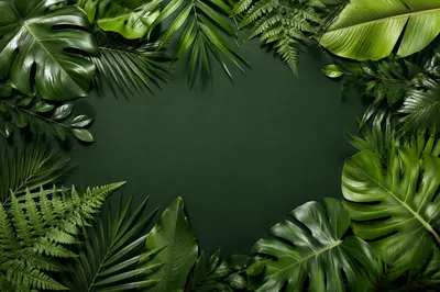 Lush Tropical Leaves Flat Lay Background