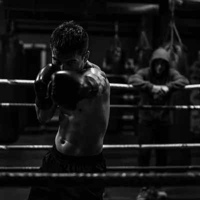 Gritty Boxing Gym Training Punch