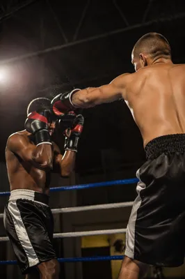 Intense Boxing Sparring Under Arena Lights