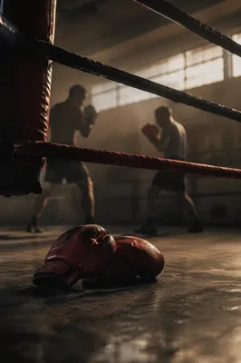 Red Boxing Gloves in Dawn Ring