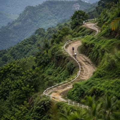 Cyclists on Misty Tropical Mountain Road