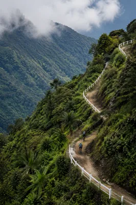 Cyclists on Misty Tropical Mountain Road
