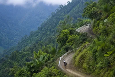Cyclists on Misty Tropical Mountain Road