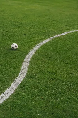Soccer Ball on Green Grass Field