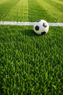 Soccer Ball on Fresh Green Field