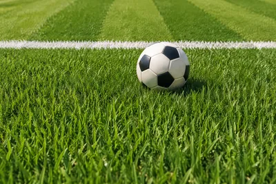 Soccer Ball on Fresh Green Field