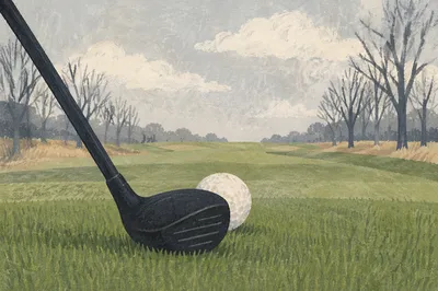 Golf Driver and Ball on Green Fairway