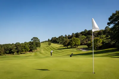 Sunny Golf Course Fairway with Distant Golfer