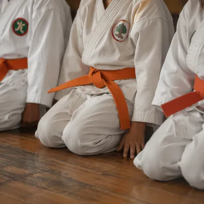 Kids Martial Arts Discipline on Dojo Floor