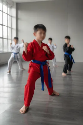 Kids Martial Arts Discipline Training Class