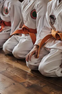 Kids Martial Arts Discipline in Dojo