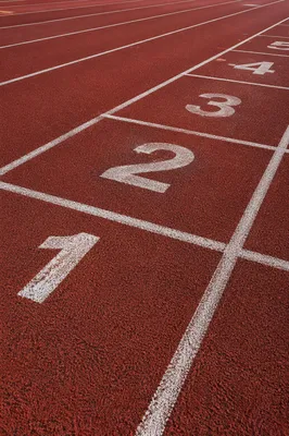 Empty Running Track Starting Line Closeup