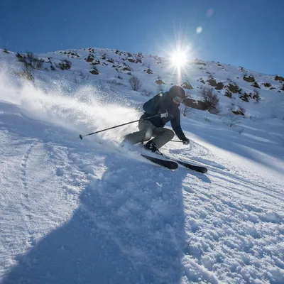 Downhill Skier Carving Fresh Mountain Powder