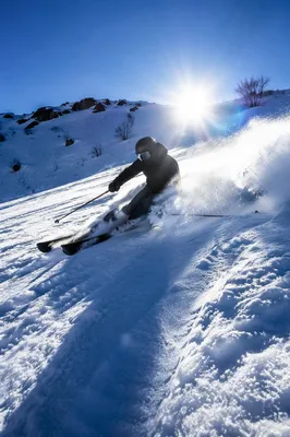 Downhill Skier Carving Through Sunlit Powder