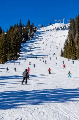 Busy Downhill Ski Slope in Winter